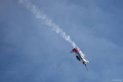 Flugtag-2010-SA_088